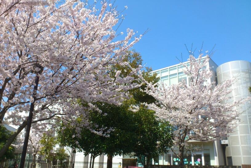 採用面接試験　保育士/児童指導員・心理士・栄養士正職員募集【2026年4月採用】