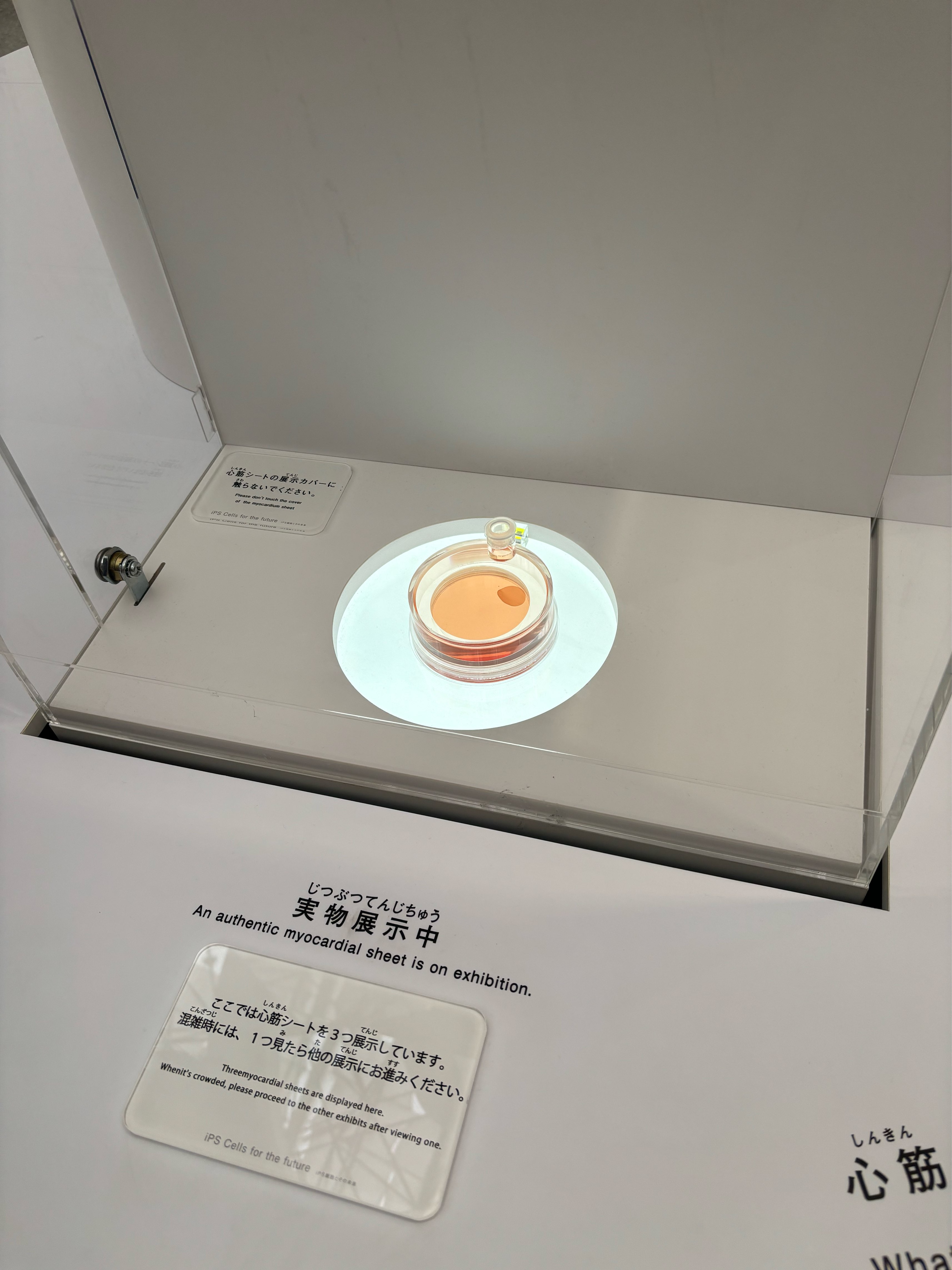 万博招待✨