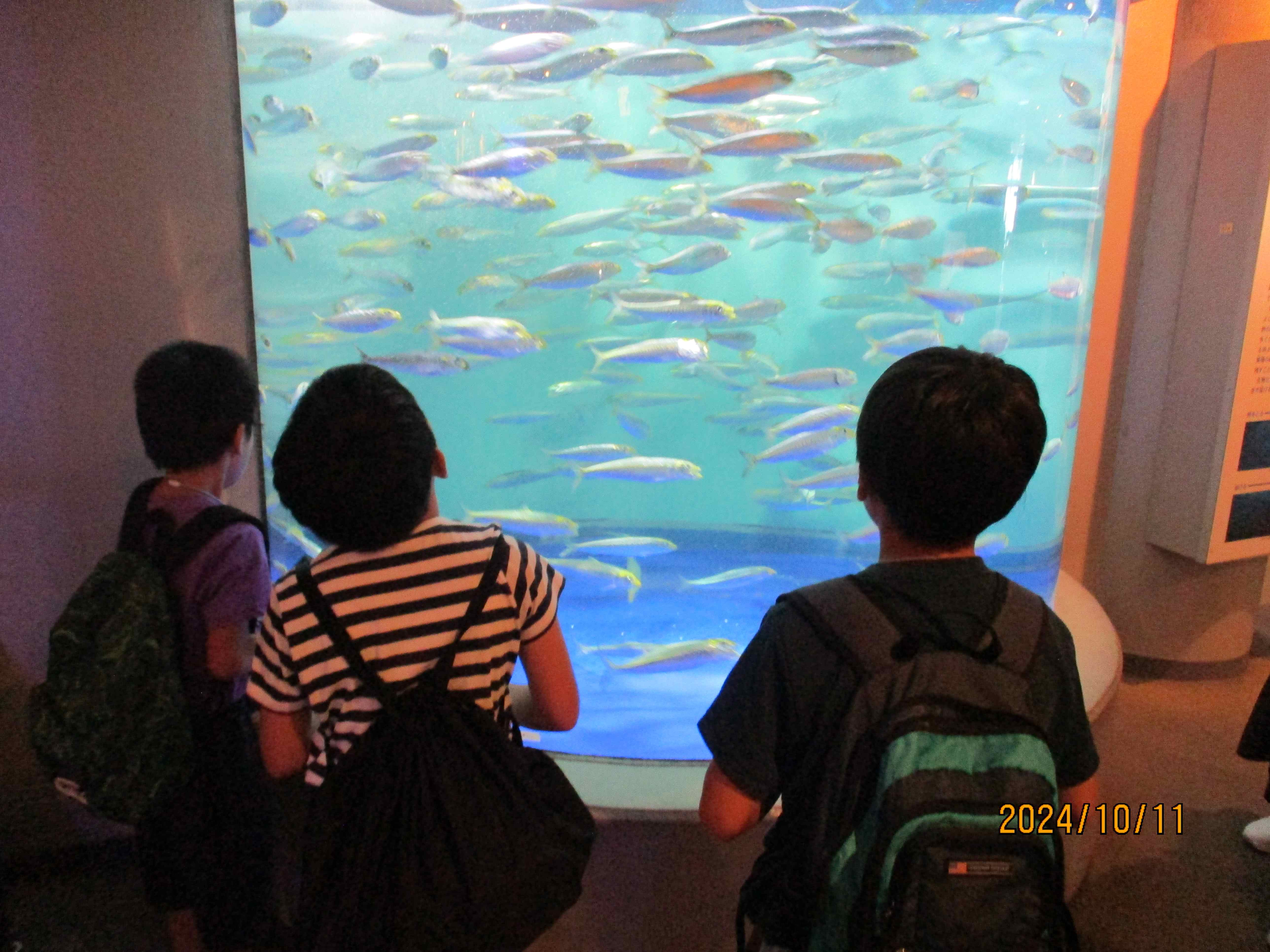 品川水族館に行ったよ♪