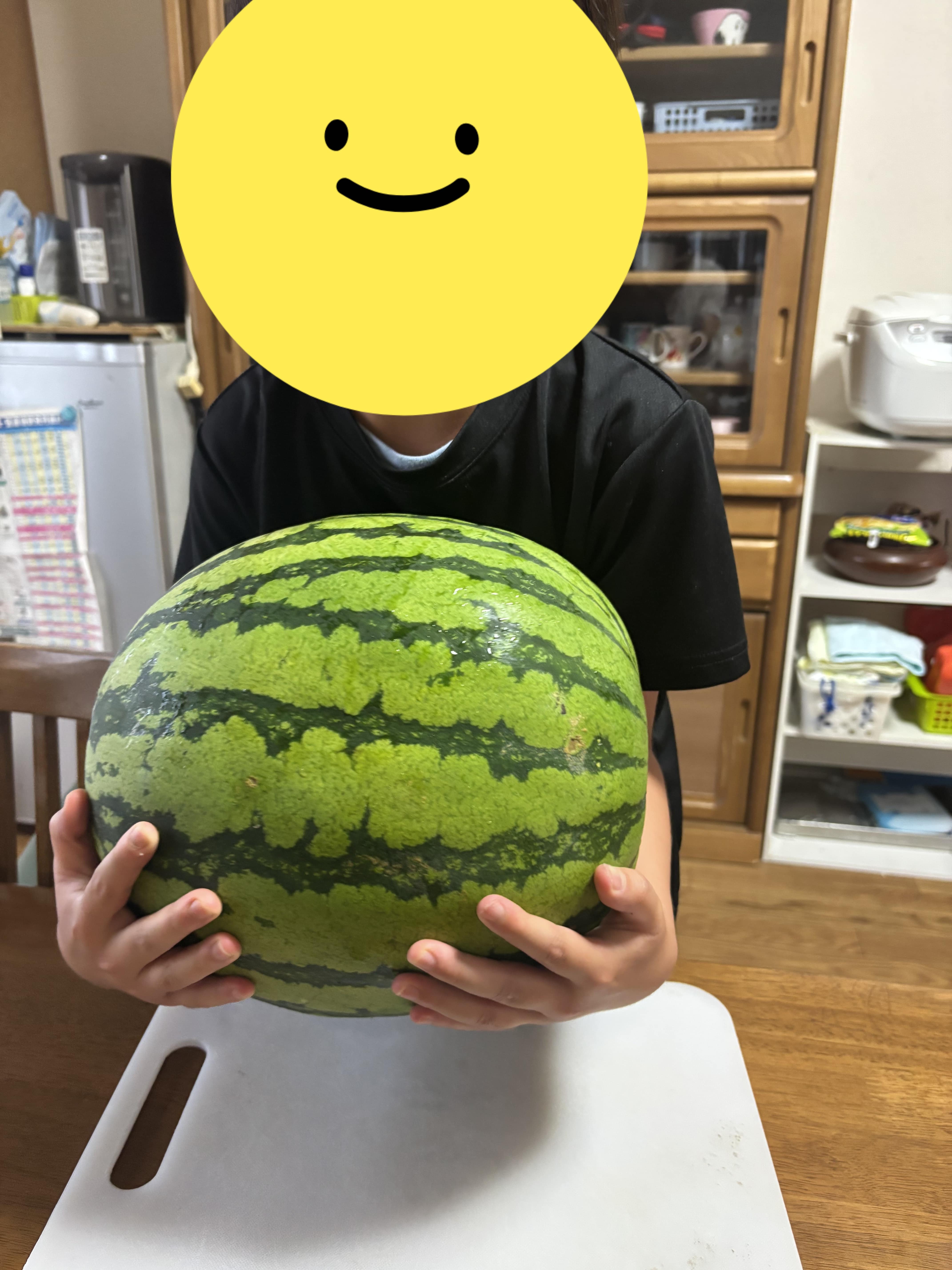 夏がきた