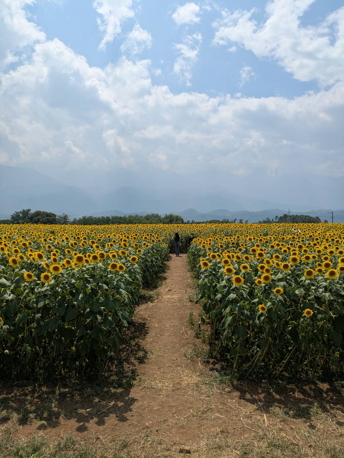 2026/9月　星美ホーム施設説明会