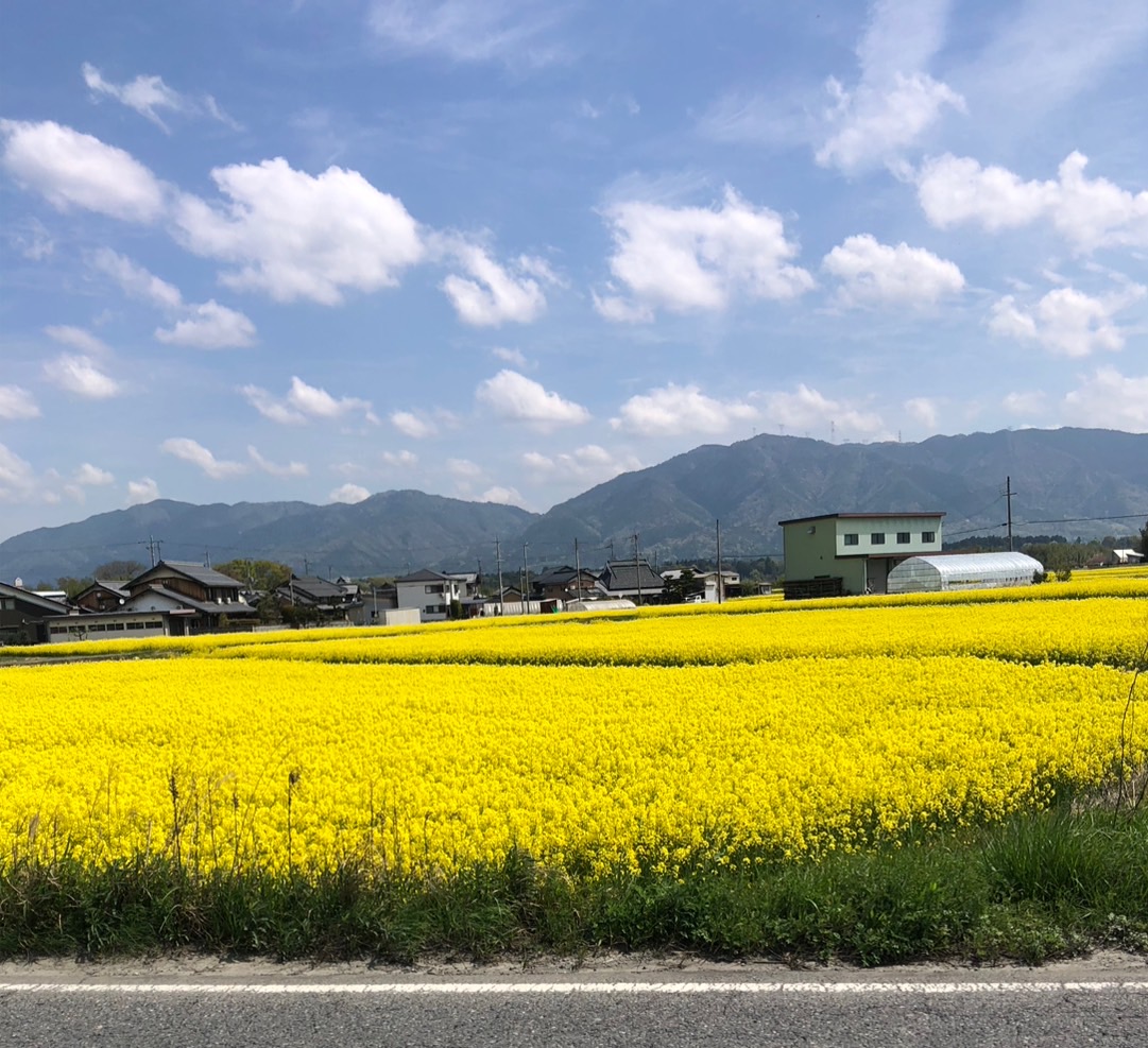 地域支援より