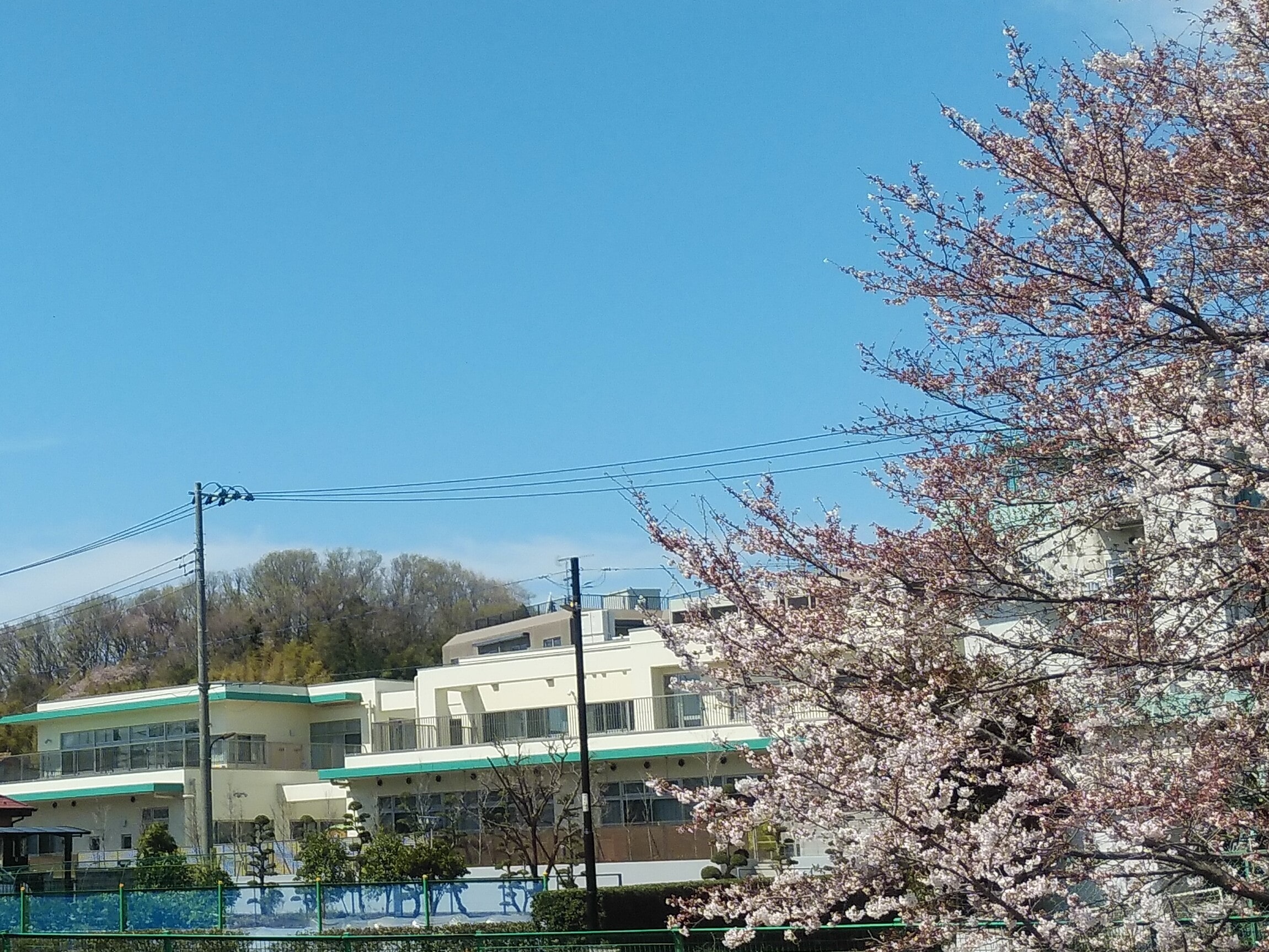 【愛恵会乳児院】2026年４月入職・随時採用　12月6日 オンライン就職説明会　保育士・児童指導員・看護師