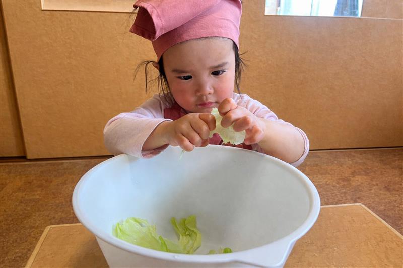 ちぎってみよう！