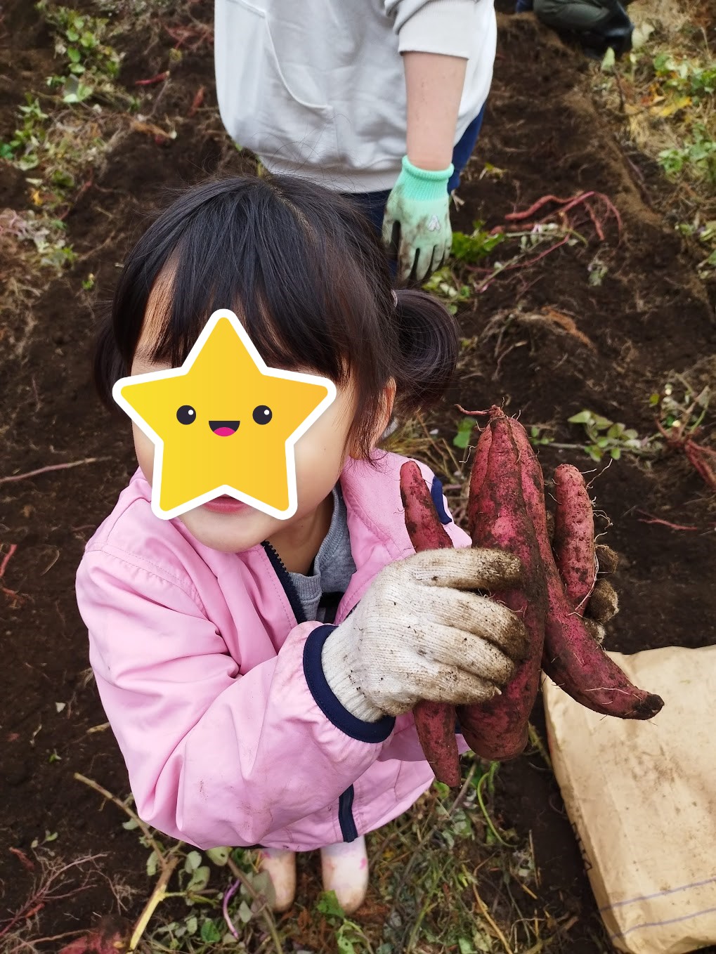 お芋掘りをしたよ♪