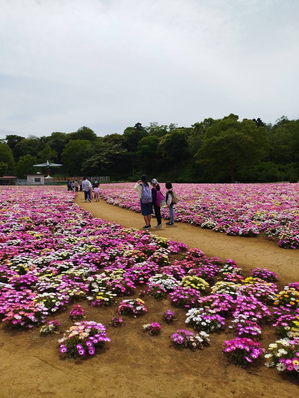 お花が素敵でした！！