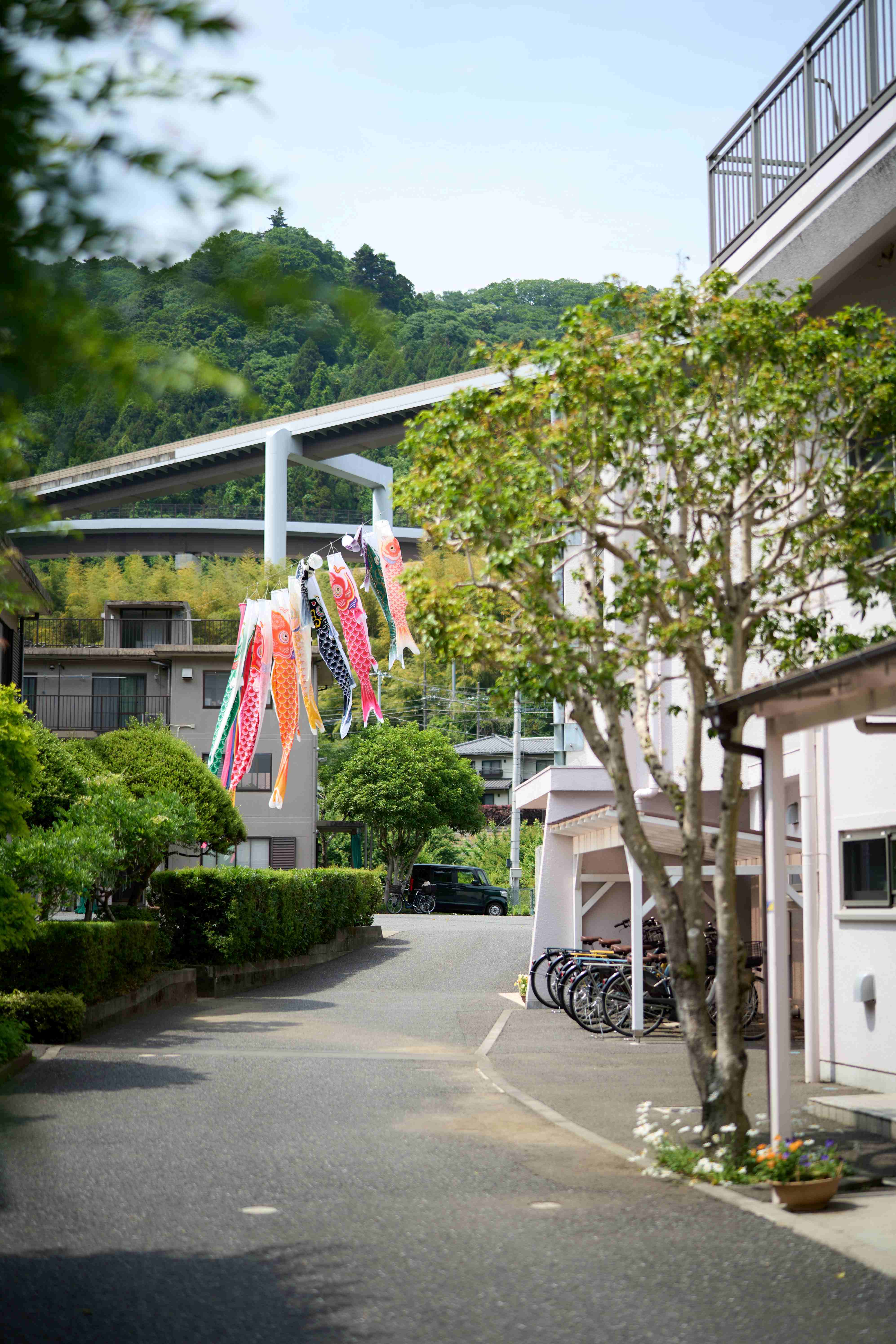 2025年度　10月2回目　対面＆オンライン　就職説明会（施設で就職を考えている方）