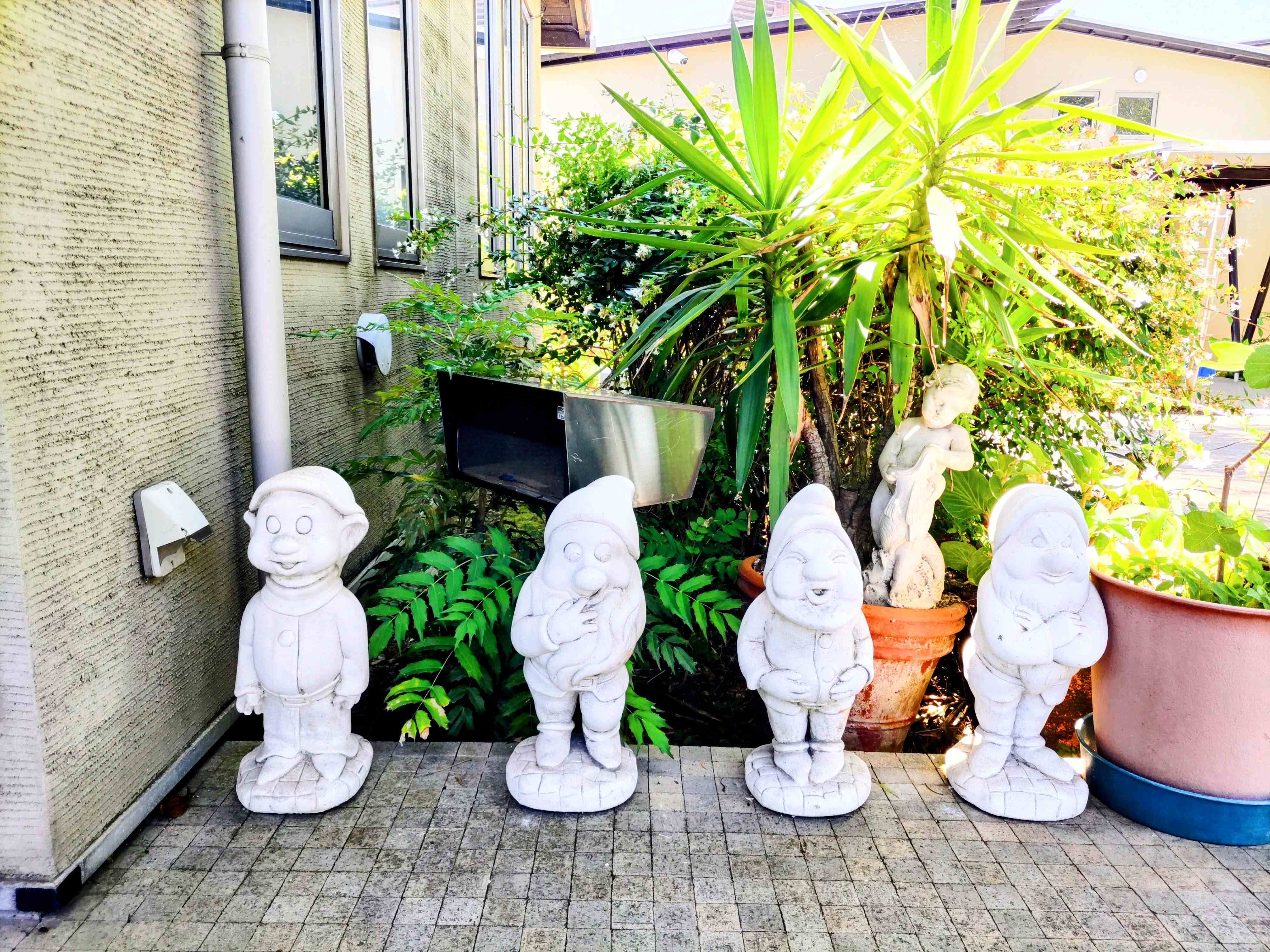 4人の新入所!? 新採用!?