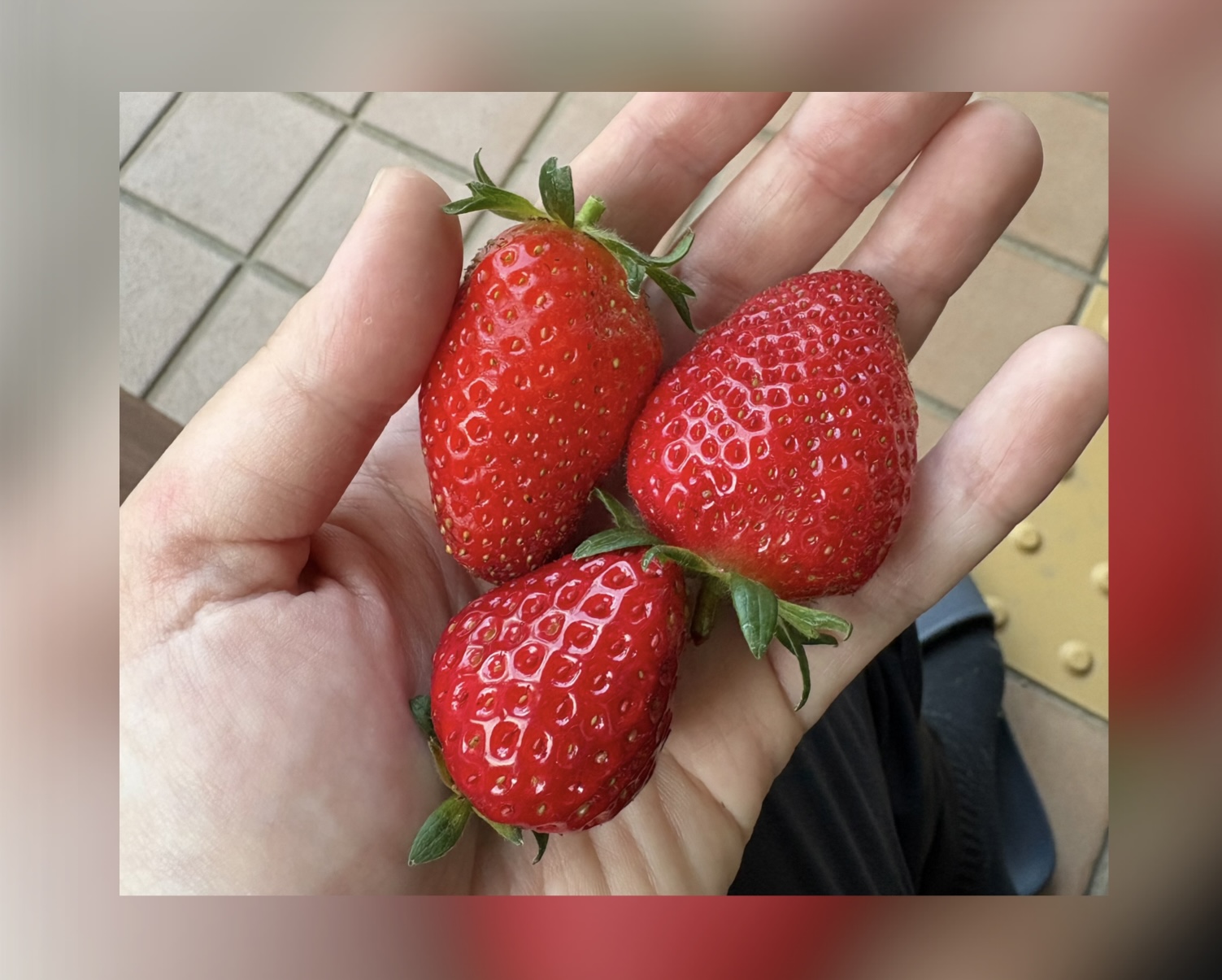 畑のいちご！