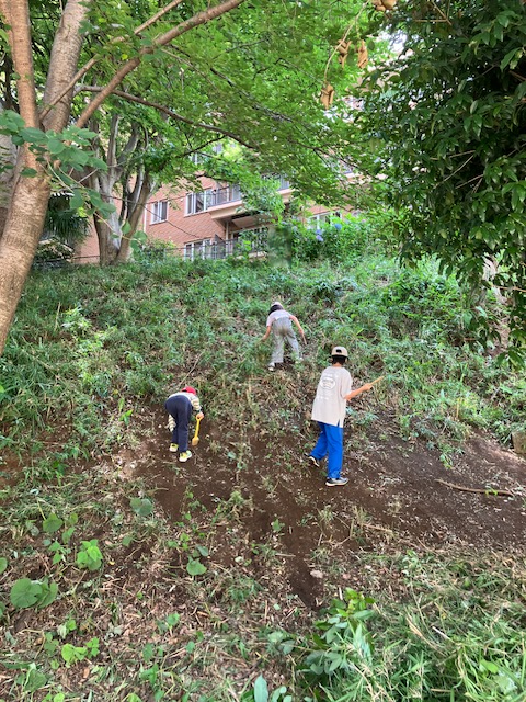 夏前の草刈りを行いました！