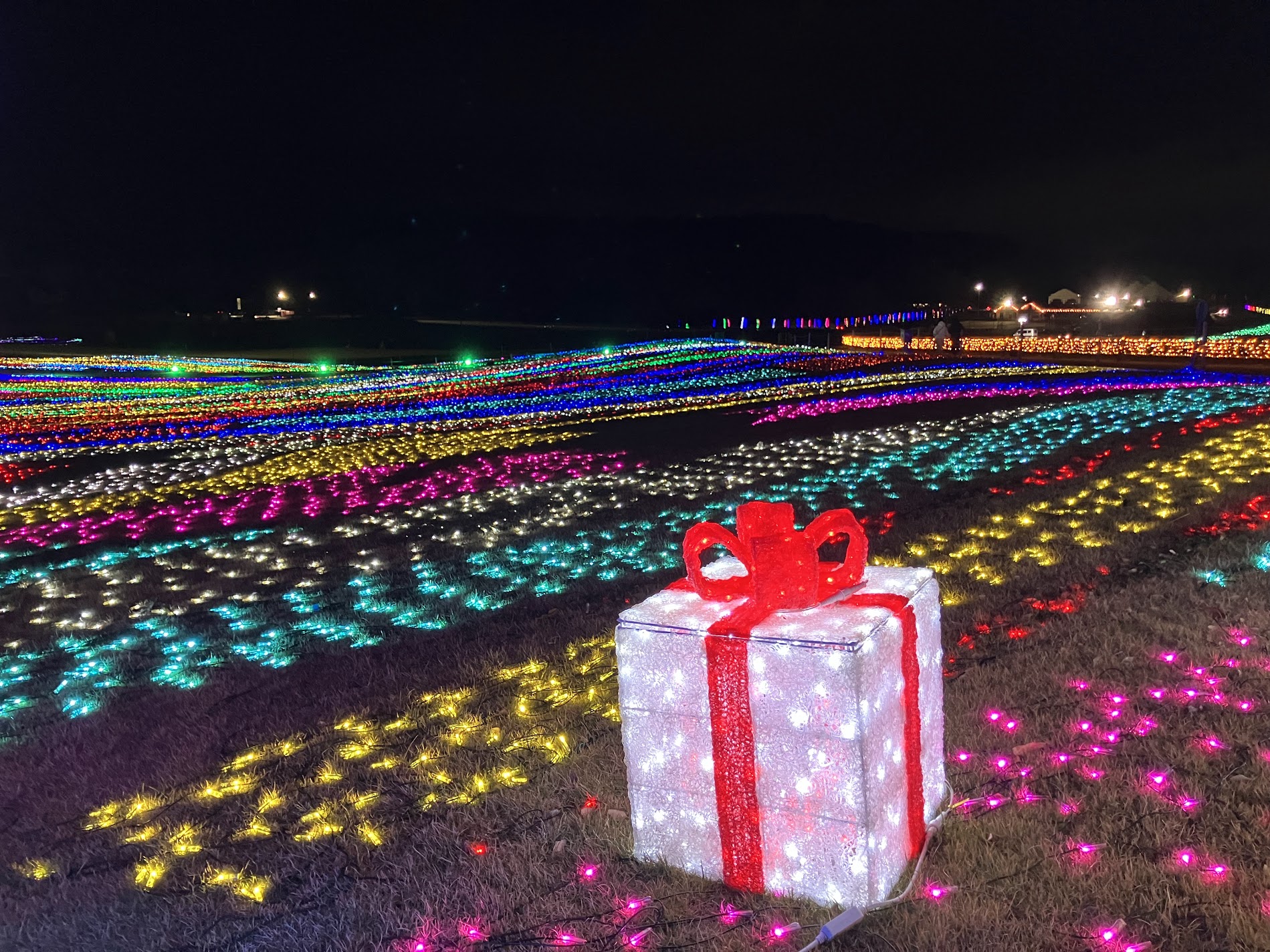 東京ドイツ村へ行ってきたよ♪