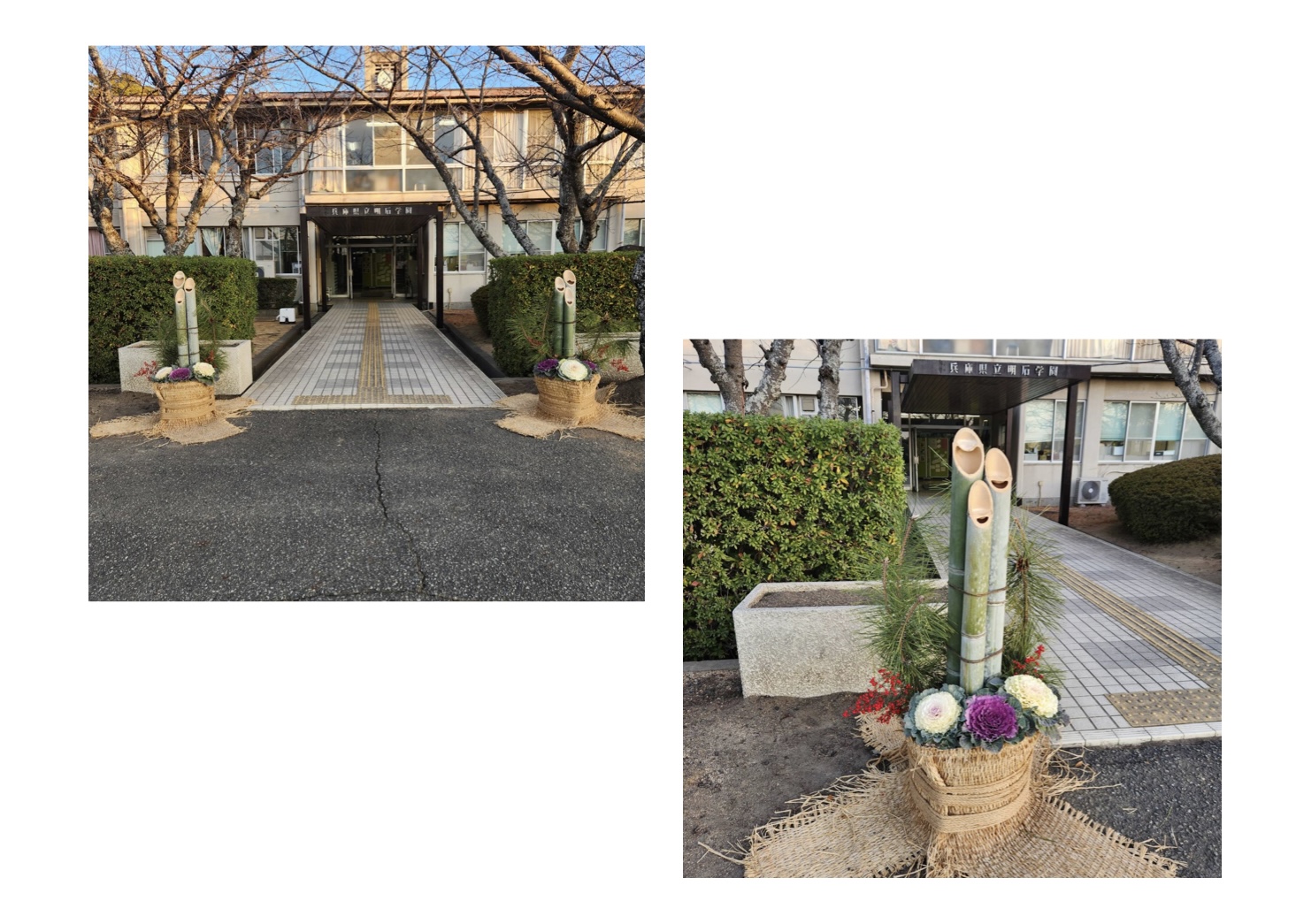 今年もよろしくお願いします。