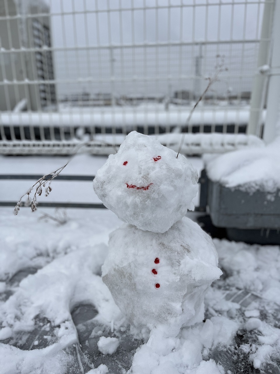 雪やこんこん