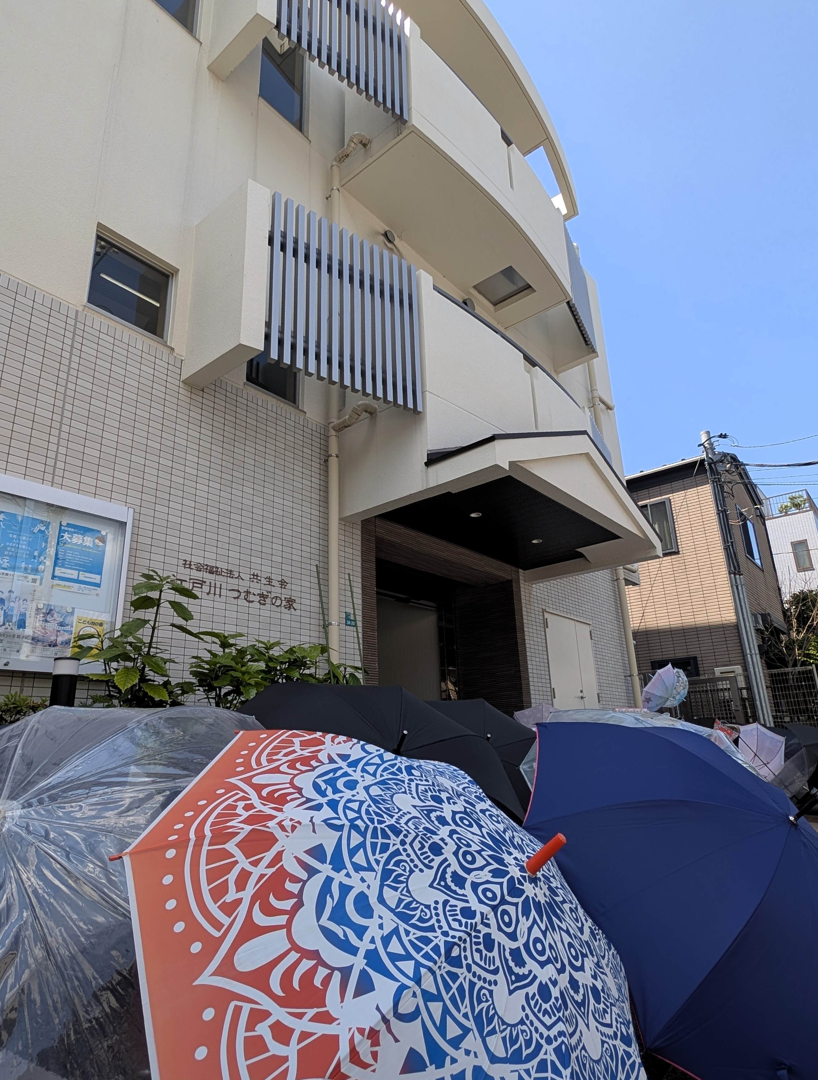 梅雨の晴れ間に並べてみました。