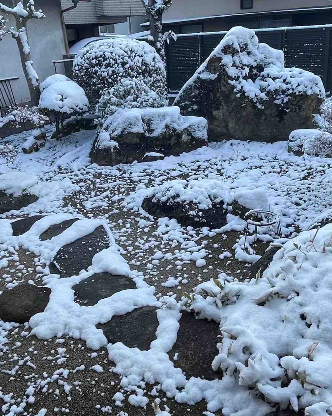 雪⛄