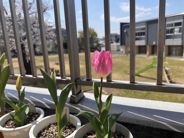 【二葉むさしが丘学園】★2027年度採用　  6/13（土）就職説明会★