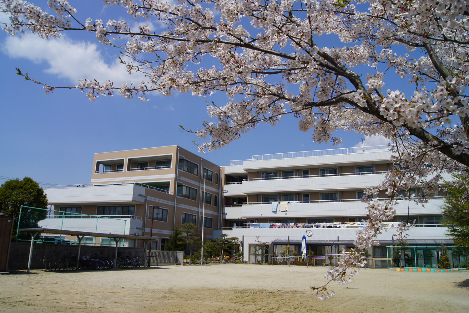 臨海学園