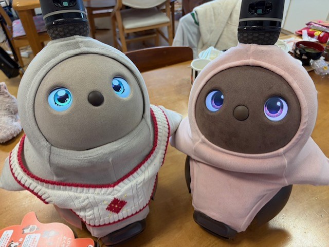 機恵子寮のカワイ子ちゃんたちの紹介です(*´з`)