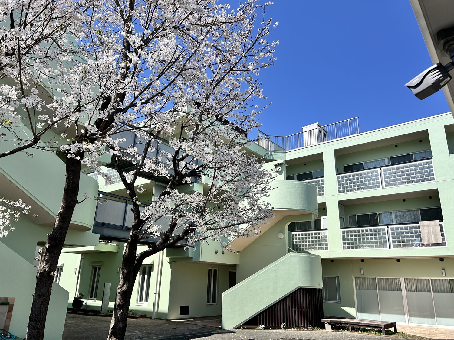 マハヤナ学園撫子園　見学説明会　【２月１５日】