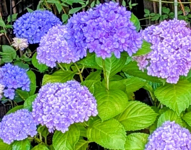 ♡梅雨の時期ですね♡