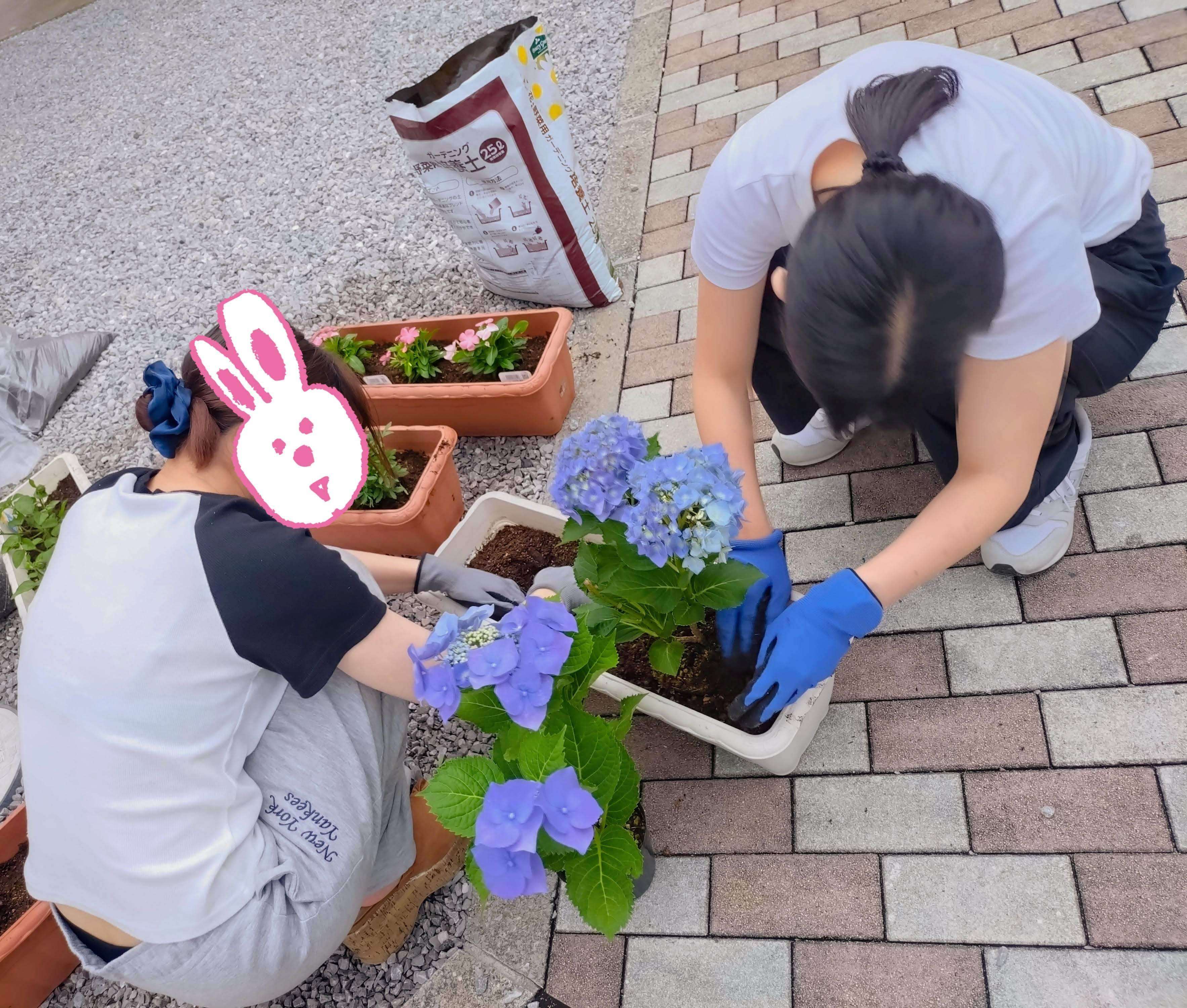 お花を植えました！（まんてん）