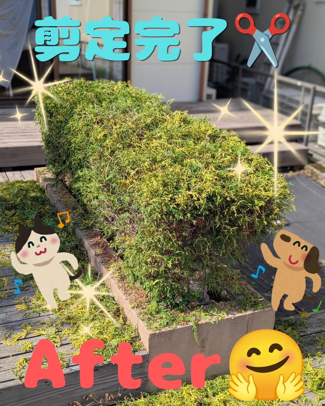 庭木の剪定作業！