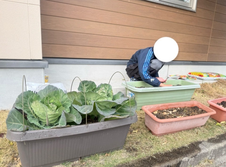 家庭菜園