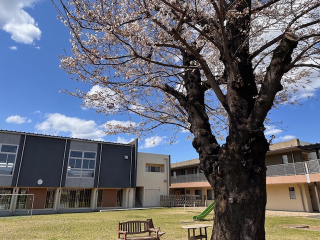 【二葉むさしが丘学園】★2027年度採用　  5/16（土）就職説明会★